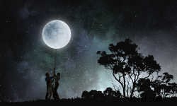 Master the Rule of Thirds: What It Is and How to Use It for Stunning Photos