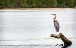Master the Rule of Thirds: What It Is and How to Use It for Stunning Photos