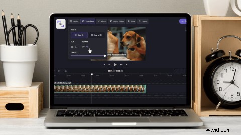 Rotate Videos Online Easily: Free Tool to Fix Sideways or Upside-Down Footage