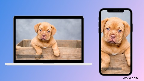 Create Pro Video Ads Like Ryan Reynolds – Free with Clipchamp s Online Editor