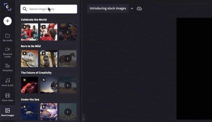 Clipchamp Stock Images: Transform Photos into Stunning Videos Effortlessly