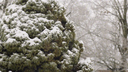 Transform Boring Zoom Presentations into Captivating Virtual Meetings