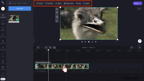 How to Easily Convert YouTube Videos to GIFs Online for Free