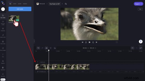 How to Easily Convert YouTube Videos to GIFs Online for Free