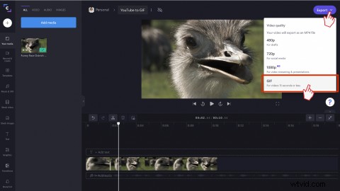 How to Easily Convert YouTube Videos to GIFs Online for Free