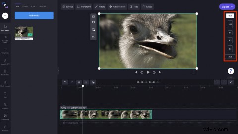 How to Easily Convert YouTube Videos to GIFs Online for Free