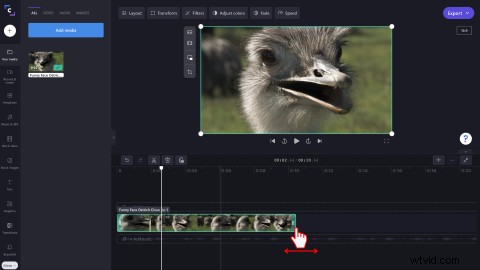 How to Easily Convert YouTube Videos to GIFs Online for Free