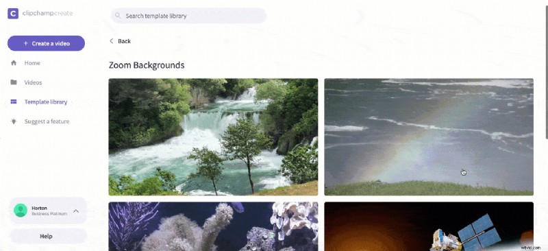 How to Set Up Stunning Video Backgrounds in Zoom: Step-by-Step Guide