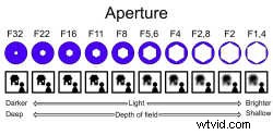 Aperture Explained: Master This Essential Photography Setting for Stunning Shots