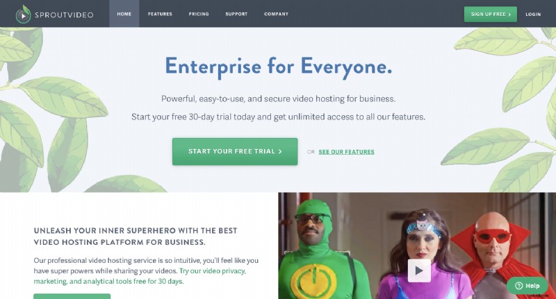 Top 13 Video Hosting Platforms: Pros, Cons & Expert Comparison