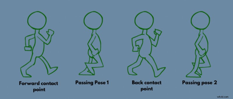 Master Walk Cycle Animation: Step-by-Step Guide for Beginners