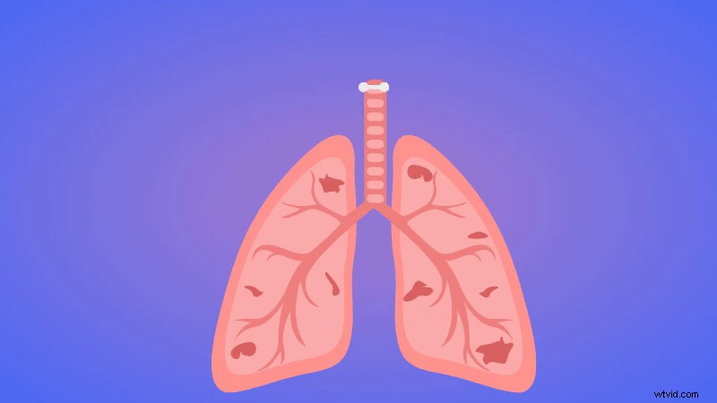 Create Engaging Animated Educational Videos: Step-by-Step Guide for Teachers & Students