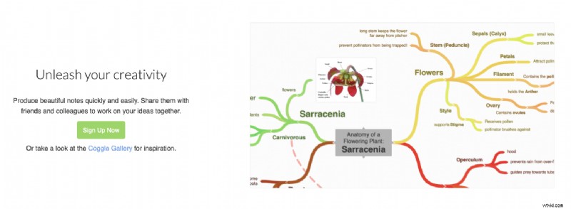 Top 20 Remote Work Tools to 10x Your Team s Productivity