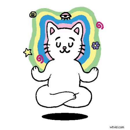 How to Add Music to Instagram Stories: 2024 Step-by-Step Guide