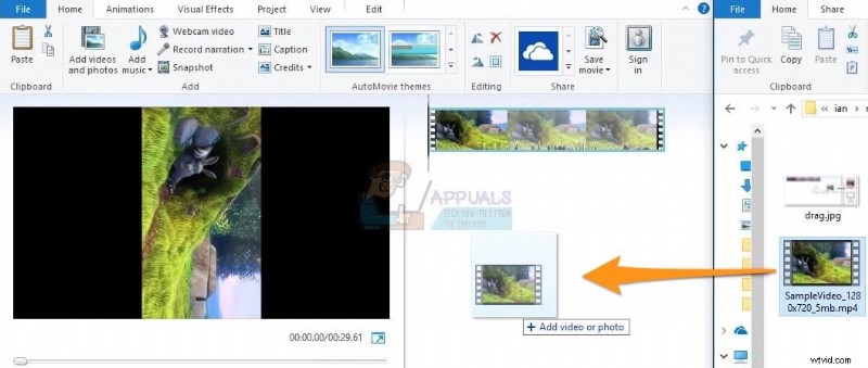Top 5 Free Video Rotators for Windows: Rotate & Flip Videos Easily