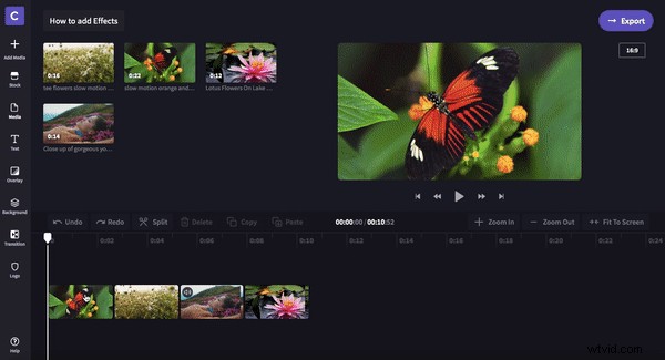 Master Live Streaming & Selfie Videos: Essential Tips for Creators