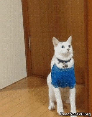 Proven LinkedIn InMail Tips to Boost Response Rates by 300%