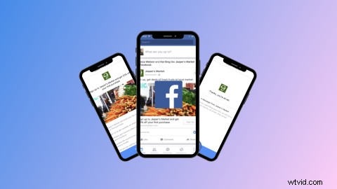 Do Videos Boost Facebook Lead Generation Forms? Proven Insights for B2B Success