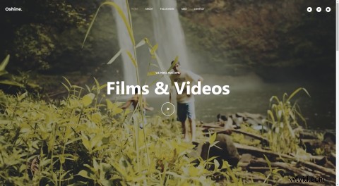 Top 8 Video-Friendly WordPress Themes for 2021: Ideal for Vloggers & Businesses