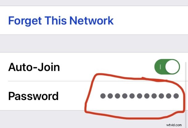 How to View Saved Wi-Fi Passwords on iPhone: Easy iOS Guide