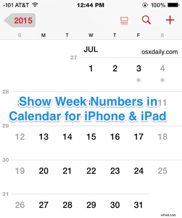 How to Enable Week Numbers in iPhone & iPad Calendar App: Quick iOS Guide