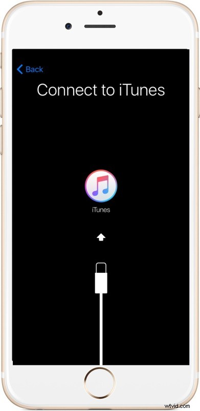 iPhone 6S & 6S Plus Setup Guide: Transfer All Your Data in 2 Simple Steps