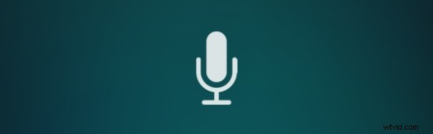 Effortlessly Check Store & Restaurant Hours with Siri on iPhone