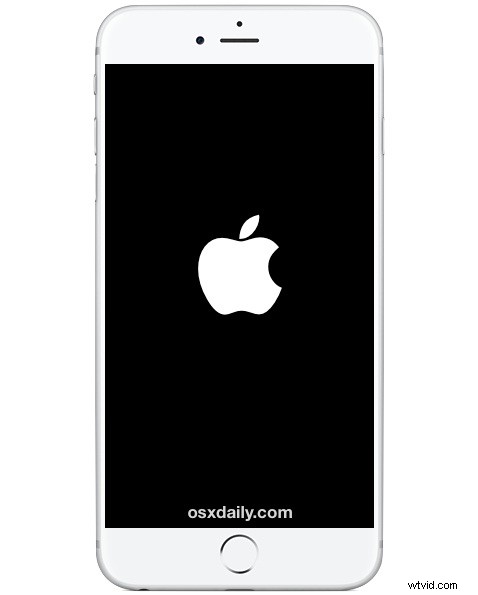 iPhone Randomly Restarting? Proven Fixes to Stop It Permanently