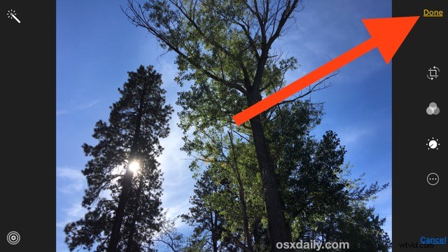 How to Easily Convert Live Photos to Still Images on iPhone