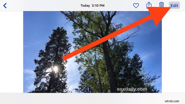 How to Easily Convert Live Photos to Still Images on iPhone