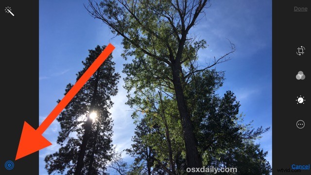 How to Easily Convert Live Photos to Still Images on iPhone