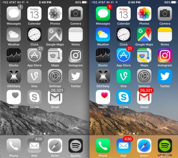 iPhone Screen Suddenly Black and White? Quick Fixes to Restore Color