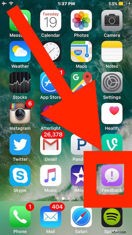 How to Report iOS 10 Bugs and Send Feedback to Apple: Step-by-Step Guide