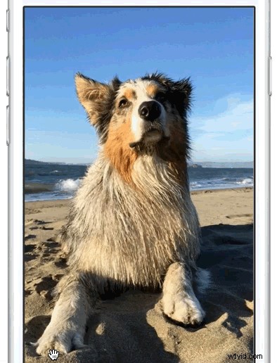 Master iPhone Live Photos: Capture Stunning Action Shots Effortlessly