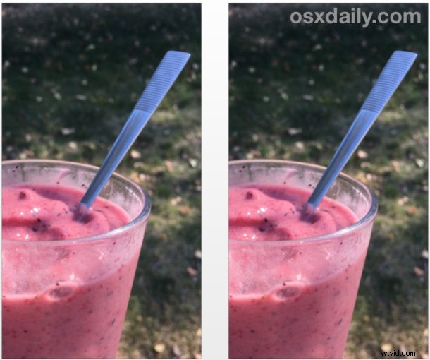 How to Easily Duplicate Photos on iPhone and iPad: Quick Guide