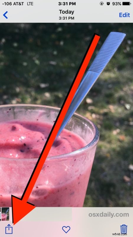 How to Easily Duplicate Photos on iPhone and iPad: Quick Guide