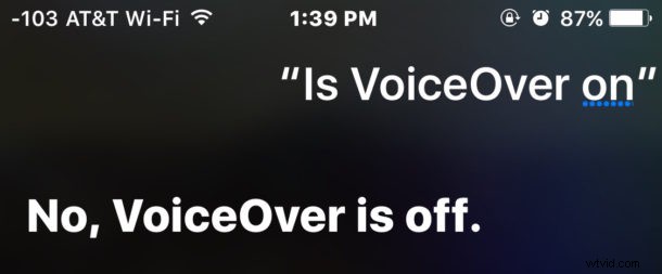 Effortlessly Check iOS Settings Status with Siri – No App Access Needed