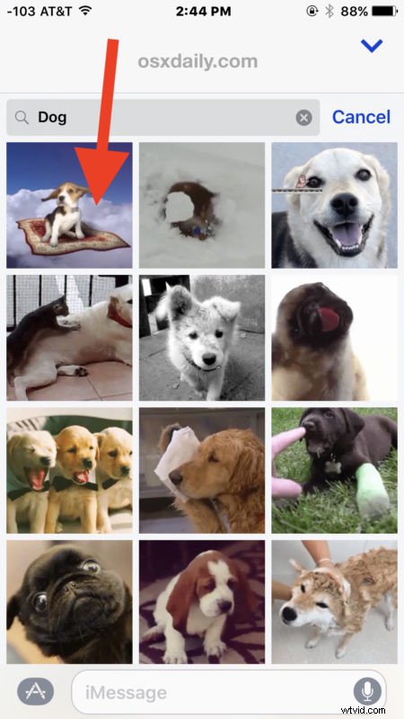 How to Easily Search and Send GIFs in Messages on iPhone and iPad