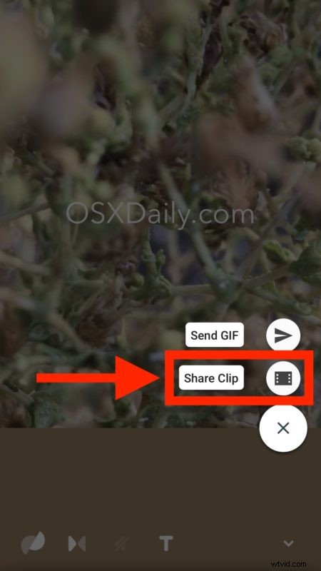 How to Share iPhone Live Photos on Instagram & Facebook: Step-by-Step Guide