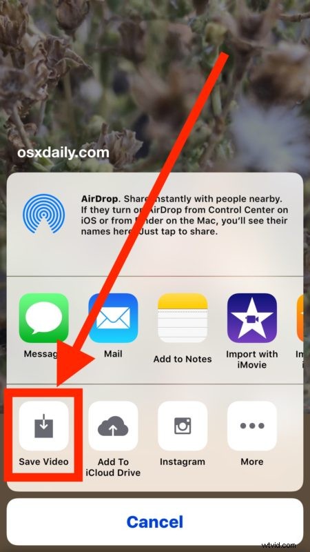 How to Share iPhone Live Photos on Instagram & Facebook: Step-by-Step Guide