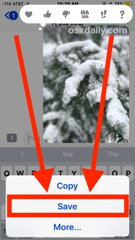 Easy Guide: How to Save Photos from Messages on iPhone & iPad (iOS 12 & Earlier)