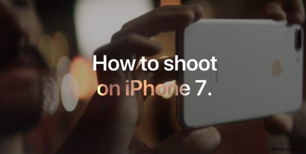 20 Expert iPhone Photography Tips Straight from Apple