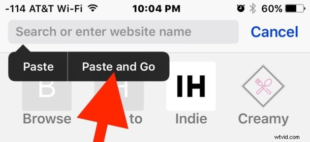 Speed Up iOS Safari Browsing: Paste and Go for Instant URL Access
