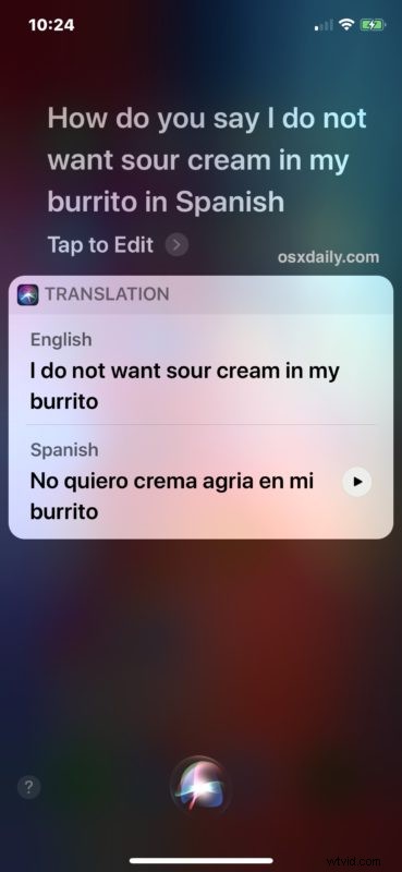 How to Instantly Translate Languages with Siri on iPhone and iPad