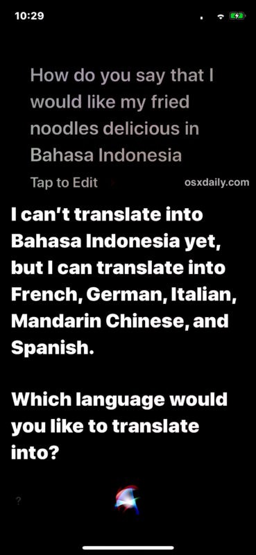 How to Instantly Translate Languages with Siri on iPhone and iPad