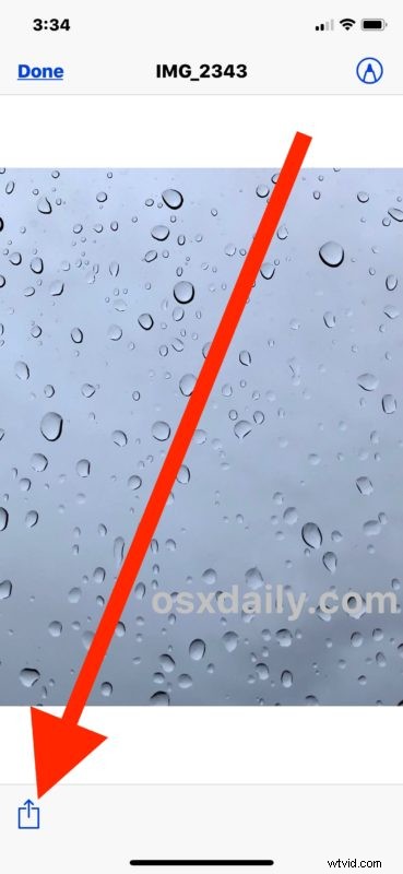 How to Tag and Organize Files on iPhone and iPad: Complete Guide