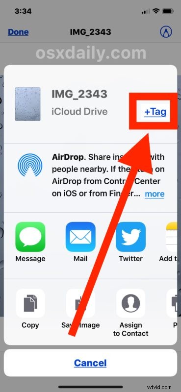 How to Tag and Organize Files on iPhone and iPad: Complete Guide