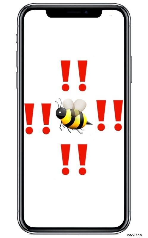How to Completely Disable All Vibrations on iPhone: Step-by-Step Guide