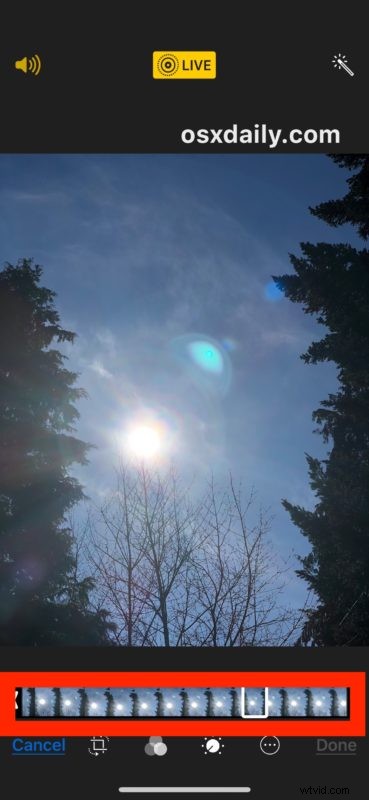 How to Easily Change the Key Photo in Live Photos on iPhone & iPad