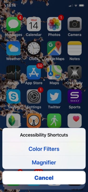 How to Set Up and Use the Accessibility Shortcut on iPhone and iPad: Quick Guide